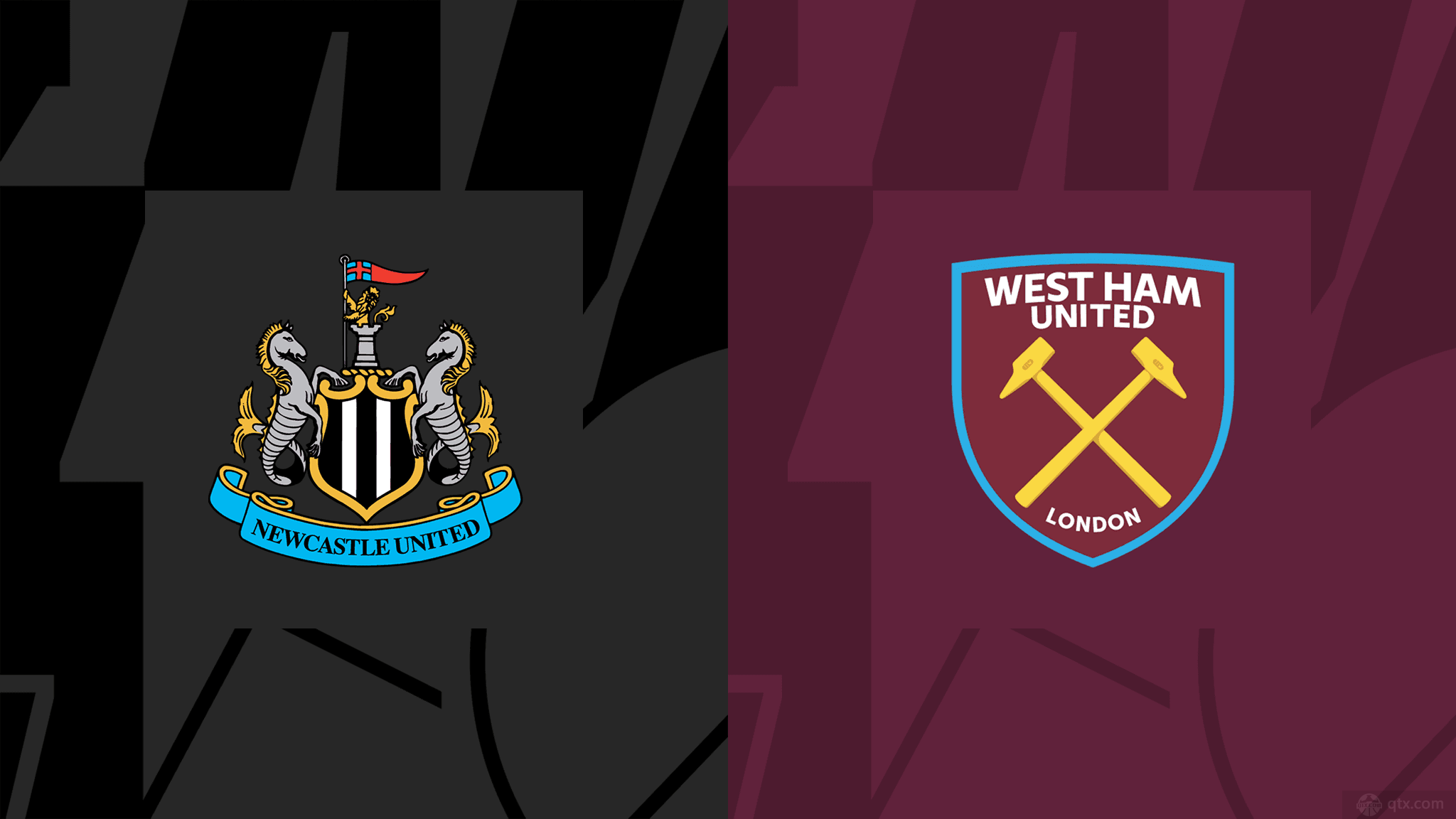 他将葡萄牙 他将葡萄牙